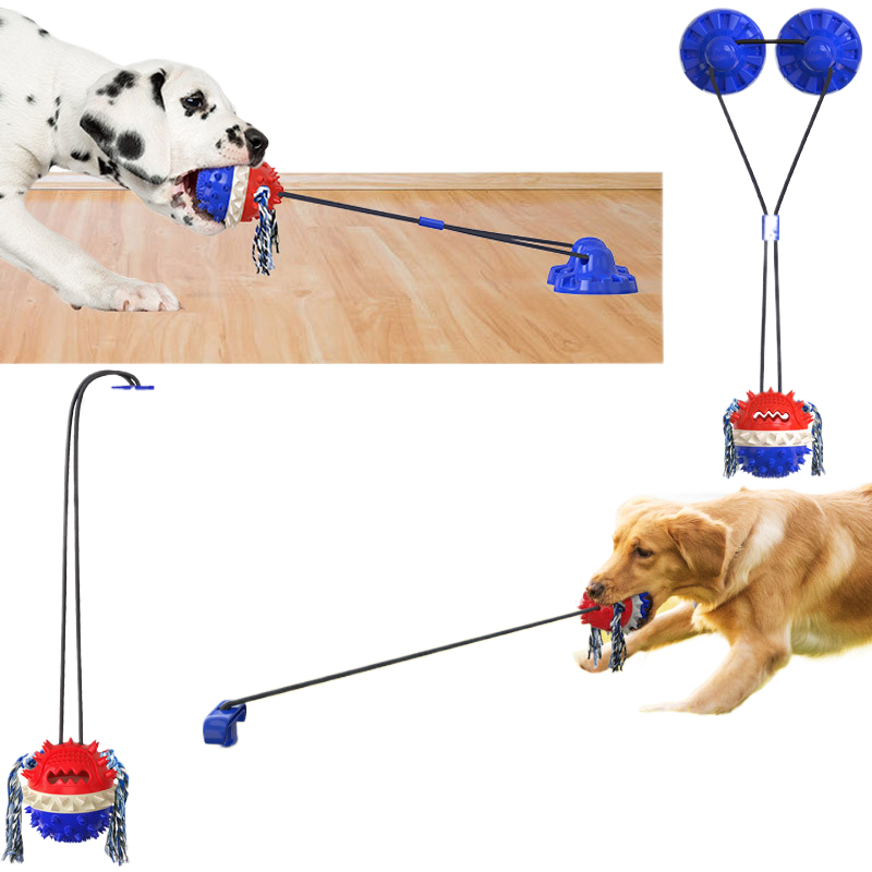 Dog outdoor leash Miyoohpet