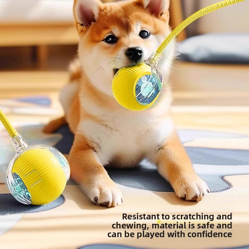 The dog toy ball automatically walks the dog Miyoohpet