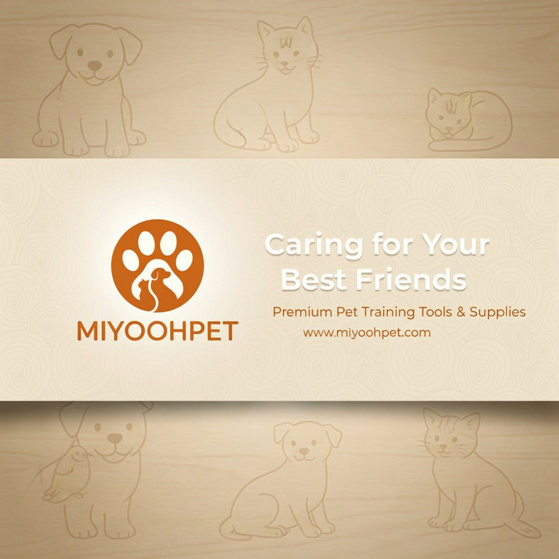 Smart Pet Care Upgrades: Three Practical Products That Make Daily Life Easier Miyoohpet