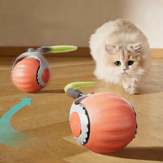 Automatic Cat Toy Ball Miyoohpet