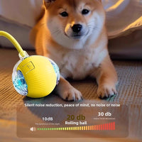 The dog toy ball automatically walks the dog Miyoohpet