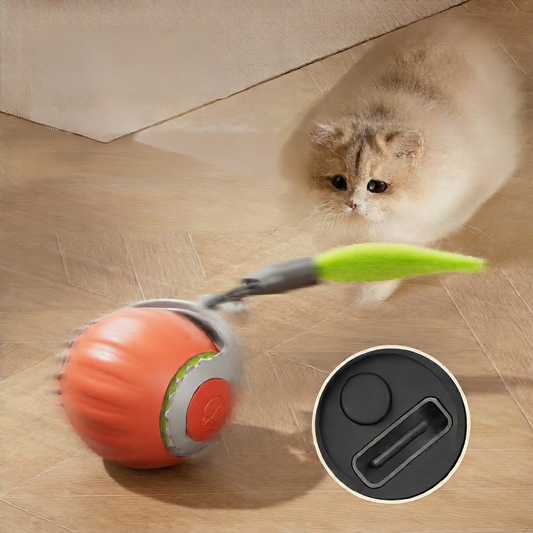 Automatic Cat Toy Ball Miyoohpet