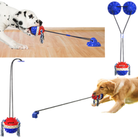 Dog outdoor leash Miyoohpet