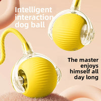 The dog toy ball automatically walks the dog Miyoohpet