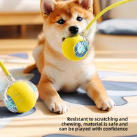 The dog toy ball automatically walks the dog Miyoohpet