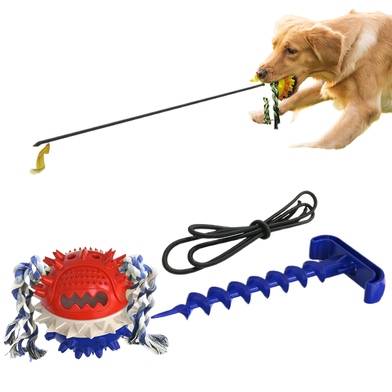 Dog outdoor leash Miyoohpet