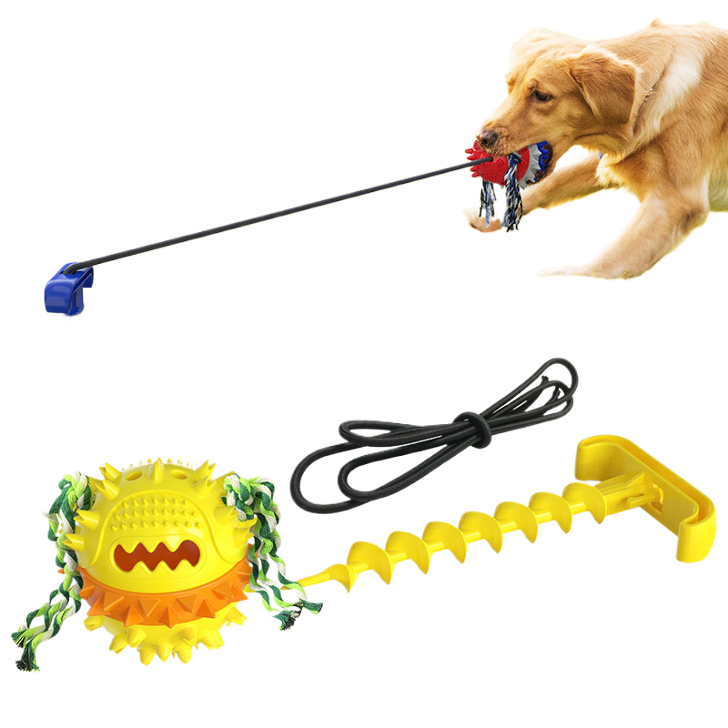 Dog outdoor leash Miyoohpet