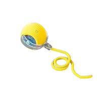The dog toy ball automatically walks the dog Miyoohpet