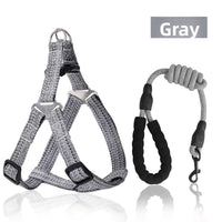 Adjustable Dog Harness Leash with Anti-Pull Feature Miyoohpet